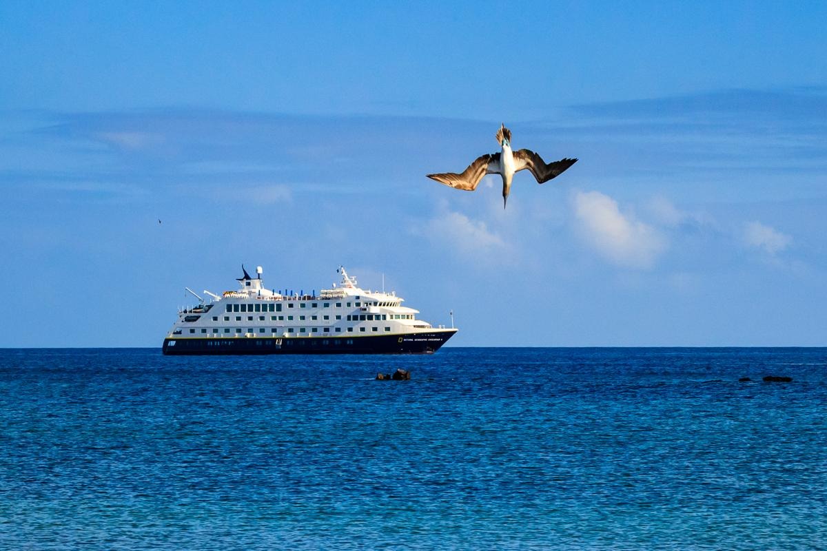 Exploring Galápagos, Machu Picchu and Peru's Land of the Inca